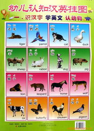 苍南县康泰塑胶制品